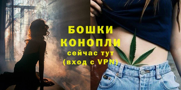 шишки Бородино