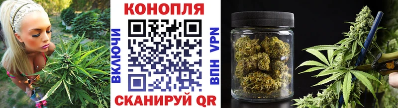 Шишки марихуана ГИДРОПОН  Дмитров 